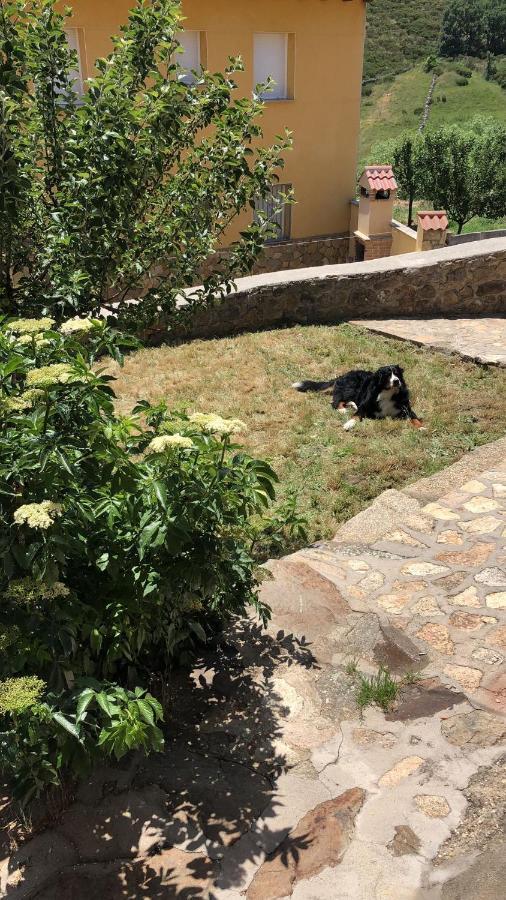 Casa Sierra De Gredos Guest House Navasequilla Екстериор снимка