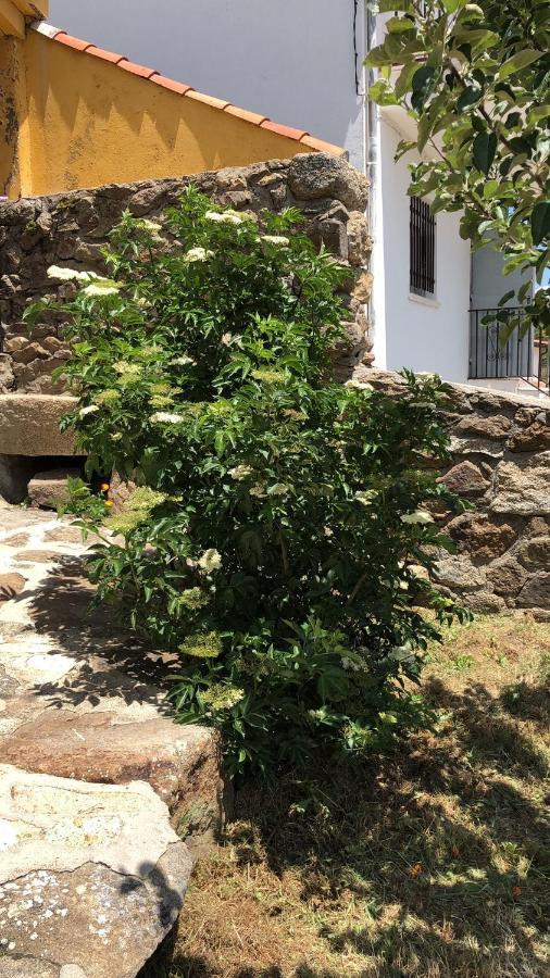 Casa Sierra De Gredos Guest House Navasequilla Екстериор снимка