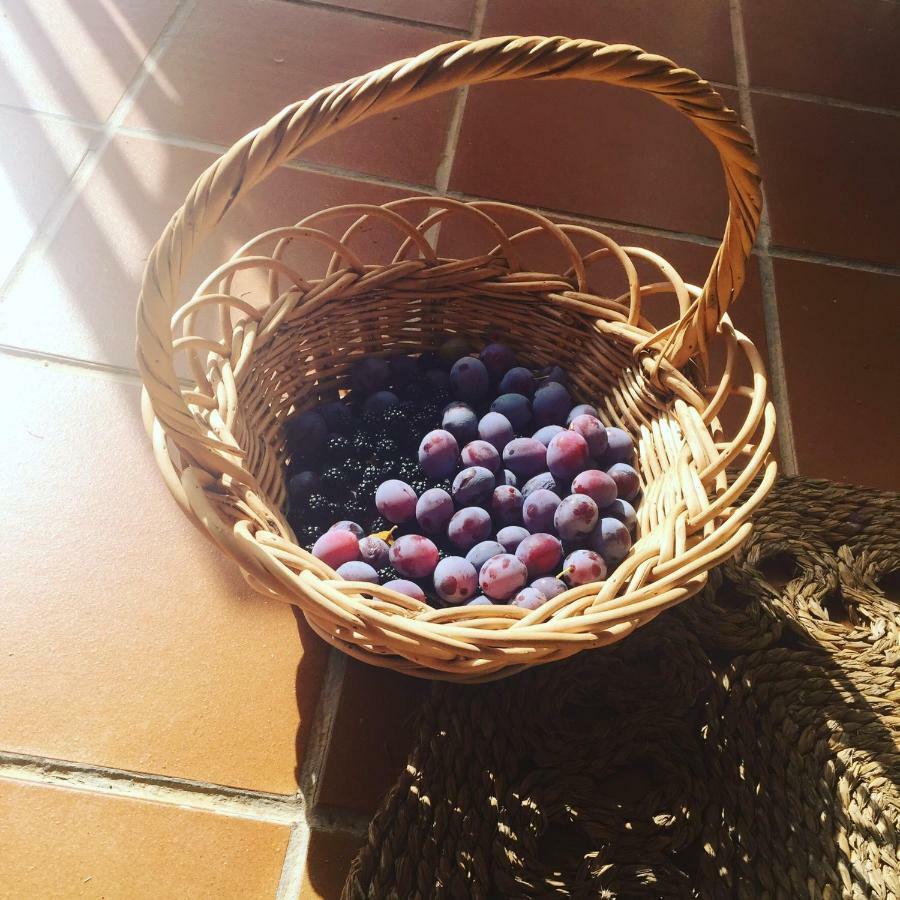 Casa Sierra De Gredos Guest House Navasequilla Екстериор снимка